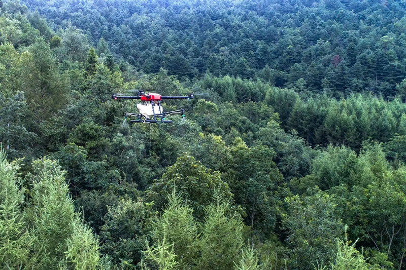 森林消防